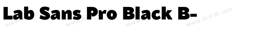 Lab Sans Pro Black B字体转换